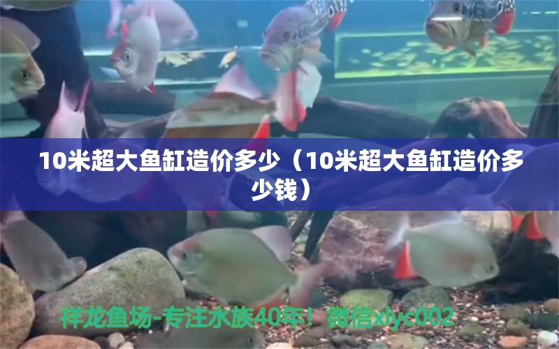 10米超大魚缸造價多少（10米超大魚缸造價多少錢）