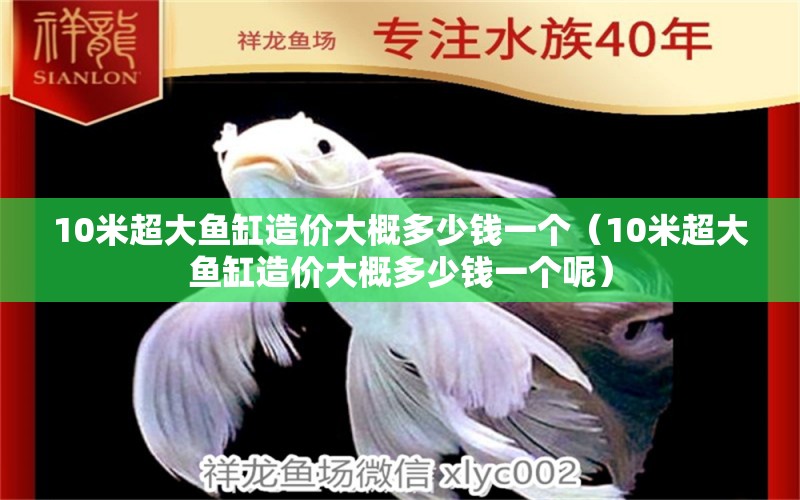 10米超大魚缸造價大概多少錢一個（10米超大魚缸造價大概多少錢一個呢） 魚缸百科