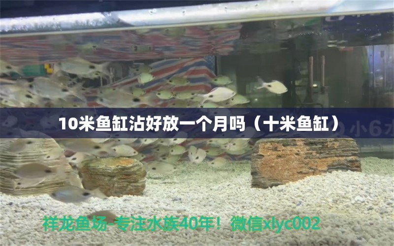 10米魚缸沾好放一個月嗎（十米魚缸）