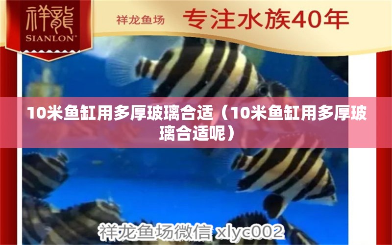 10米魚缸用多厚玻璃合適（10米魚缸用多厚玻璃合適呢）