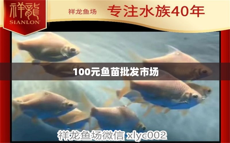 100元魚苗批發(fā)市場(chǎng)