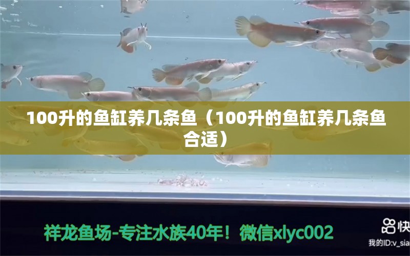 100升的魚(yú)缸養(yǎng)幾條魚(yú)（100升的魚(yú)缸養(yǎng)幾條魚(yú)合適） 祥龍傳奇品牌魚(yú)缸