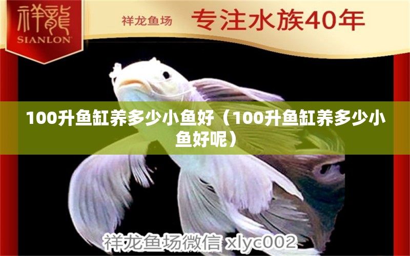 100升魚缸養(yǎng)多少小魚好（100升魚缸養(yǎng)多少小魚好呢）