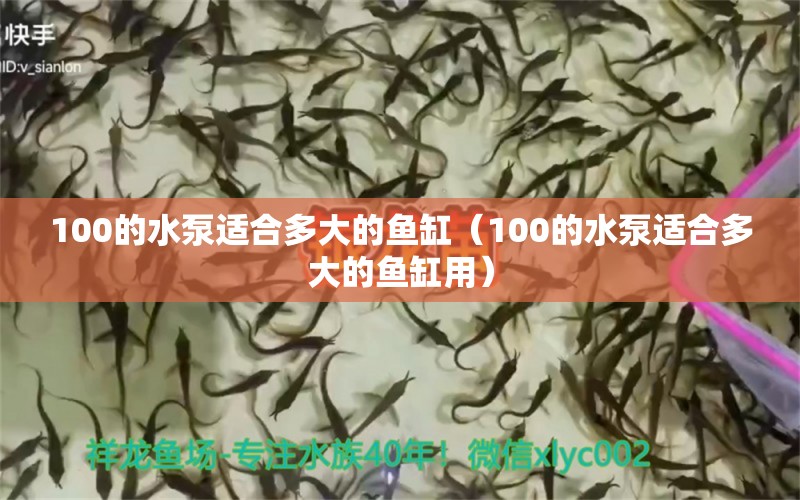 100的水泵適合多大的魚缸（100的水泵適合多大的魚缸用） 祥龍水族醫(yī)院