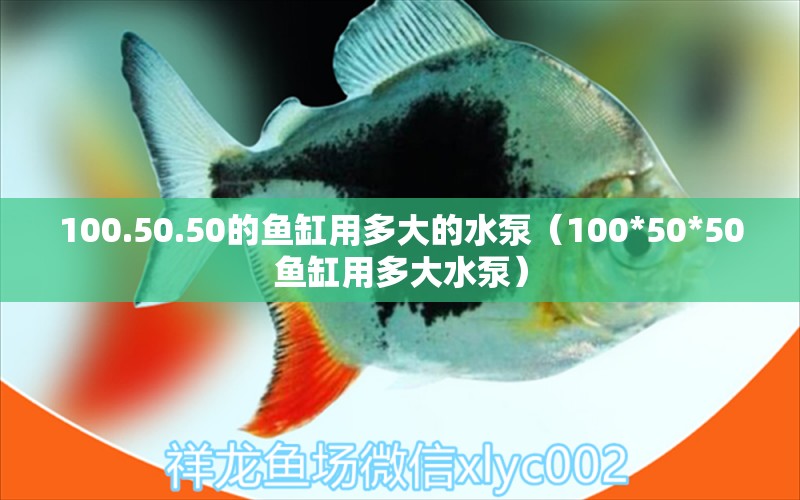 100.50.50的魚缸用多大的水泵（100*50*50魚缸用多大水泵）