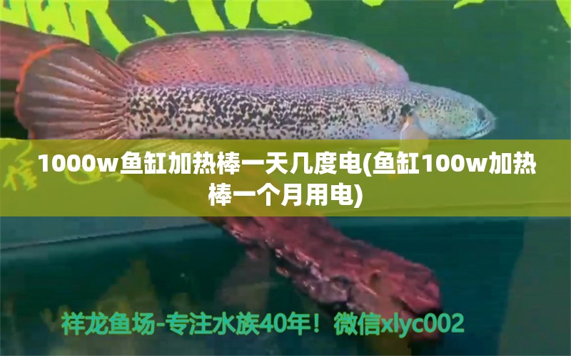 1000w魚(yú)缸加熱棒一天幾度電(魚(yú)缸100w加熱棒一個(gè)月用電) 蘇虎苗（蘇門答臘虎魚(yú)苗）