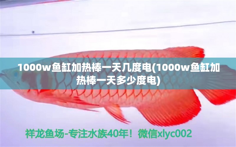 1000w魚缸加熱棒一天幾度電(1000w魚缸加熱棒一天多少度電) 非洲金鼓魚