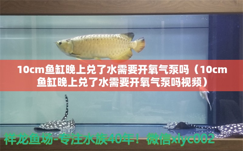 10cm魚缸晚上兌了水需要開氧氣泵嗎（10cm魚缸晚上兌了水需要開氧氣泵嗎視頻）