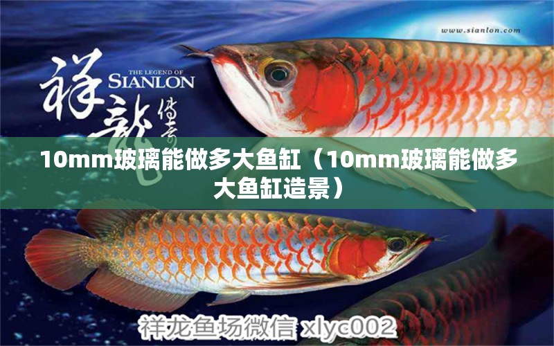 10mm玻璃能做多大魚缸（10mm玻璃能做多大魚缸造景）