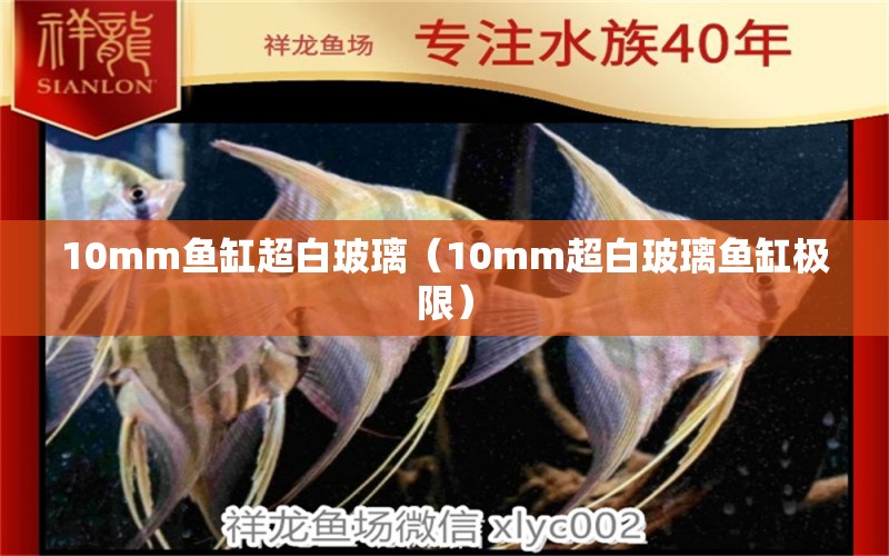 10mm魚缸超白玻璃（10mm超白玻璃魚缸極限）