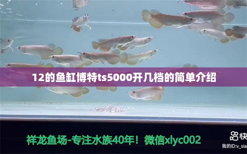 12的魚缸博特ts5000開幾檔的簡單介紹 博特水族 第2張