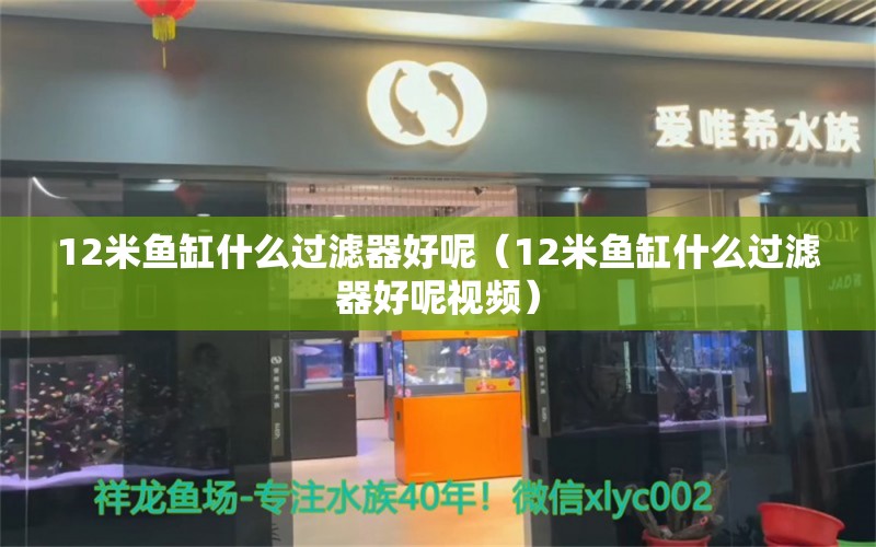 12米魚缸什么過濾器好呢（12米魚缸什么過濾器好呢視頻） 其他品牌魚缸