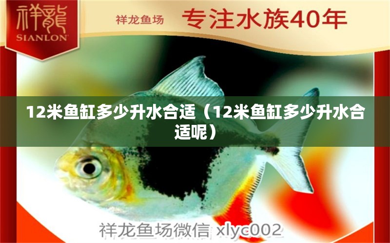 12米魚缸多少升水合適（12米魚缸多少升水合適呢）