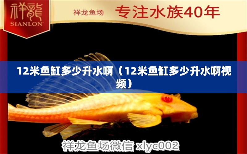 12米魚(yú)缸多少升水?。?2米魚(yú)缸多少升水啊視頻）