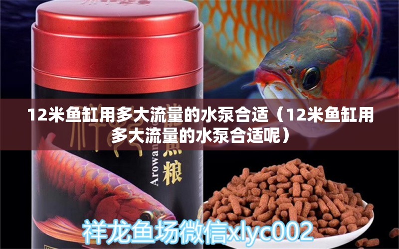 12米魚缸用多大流量的水泵合適（12米魚缸用多大流量的水泵合適呢） 其他品牌魚缸