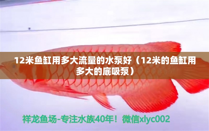 12米魚缸用多大流量的水泵好（12米的魚缸用多大的底吸泵）