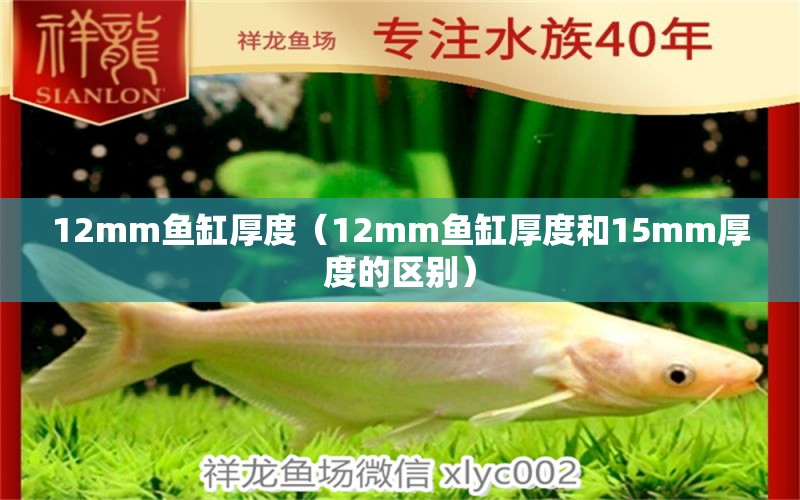 12mm魚(yú)缸厚度（12mm魚(yú)缸厚度和15mm厚度的區(qū)別） 廣州觀賞魚(yú)批發(fā)市場(chǎng)