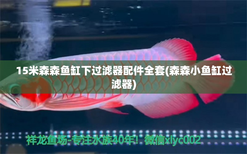 15米森森魚缸下過(guò)濾器配件全套(森森小魚缸過(guò)濾器) 短身紅龍魚