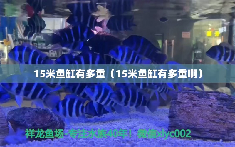 15米魚缸有多重（15米魚缸有多重?。? title=