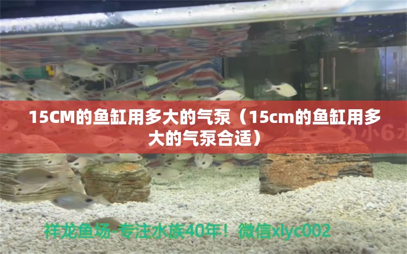 15CM的魚缸用多大的氣泵（15cm的魚缸用多大的氣泵合適）