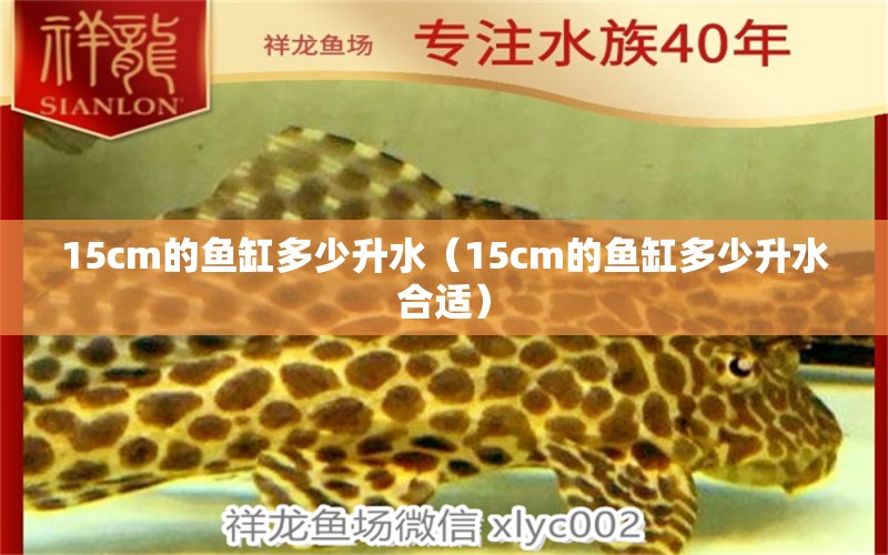 15cm的魚(yú)缸多少升水（15cm的魚(yú)缸多少升水合適） 其他品牌魚(yú)缸