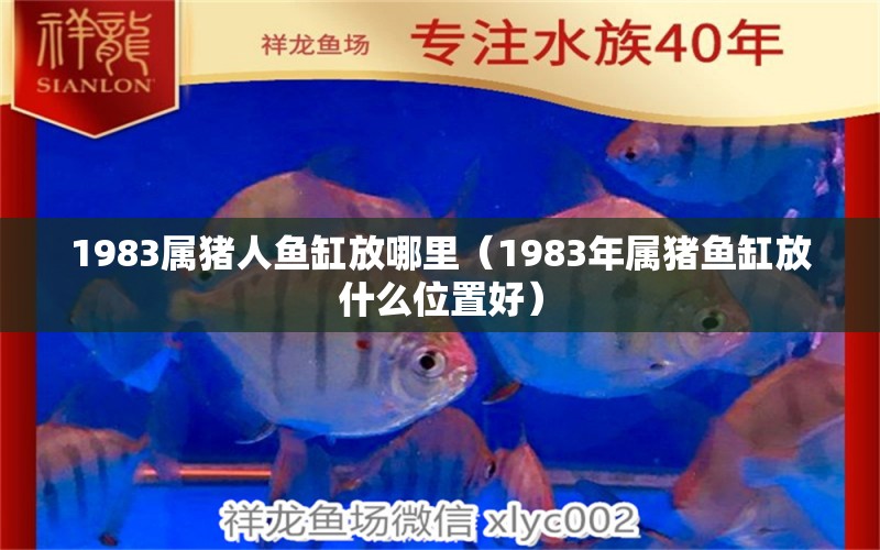 1983屬豬人魚缸放哪里（1983年屬豬魚缸放什么位置好）