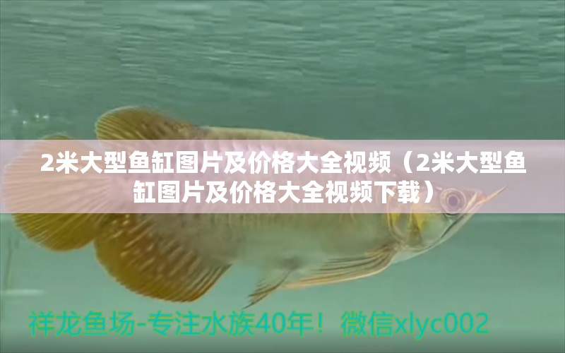 2米大型魚缸圖片及價格大全視頻（2米大型魚缸圖片及價格大全視頻下載）