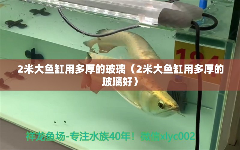 2米大魚缸用多厚的玻璃（2米大魚缸用多厚的玻璃好）