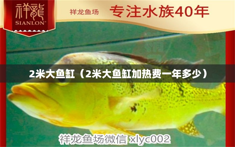 2米大魚缸（2米大魚缸加熱費(fèi)一年多少）