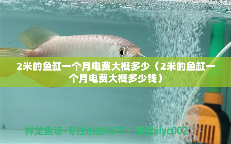 2米的魚(yú)缸一個(gè)月電費(fèi)大概多少（2米的魚(yú)缸一個(gè)月電費(fèi)大概多少錢(qián)）