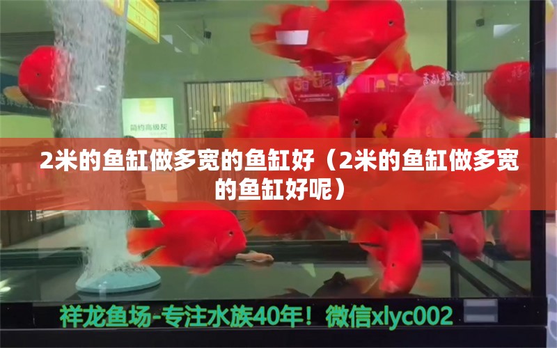 2米的魚缸做多寬的魚缸好（2米的魚缸做多寬的魚缸好呢）