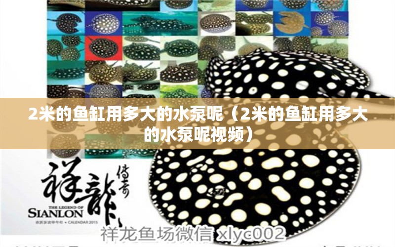 2米的魚(yú)缸用多大的水泵呢（2米的魚(yú)缸用多大的水泵呢視頻）