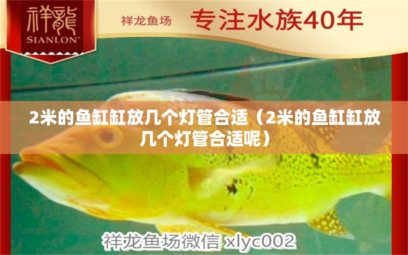 2米的魚缸缸放幾個燈管合適（2米的魚缸缸放幾個燈管合適呢） 其他品牌魚缸