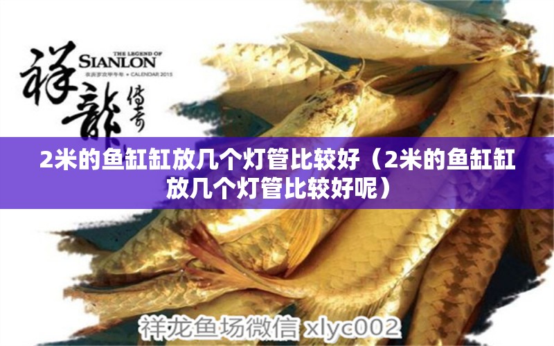 2米的魚缸缸放幾個燈管比較好（2米的魚缸缸放幾個燈管比較好呢） 其他品牌魚缸