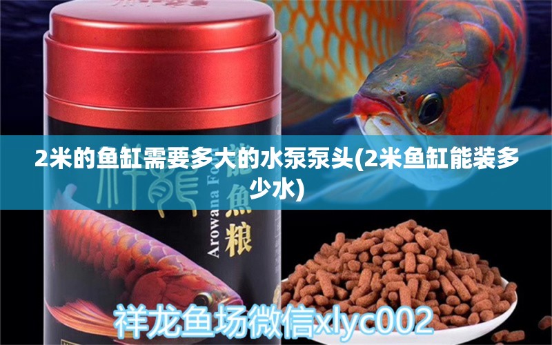 2米的魚缸需要多大的水泵泵頭(2米魚缸能裝多少水) 斑馬鴨嘴魚