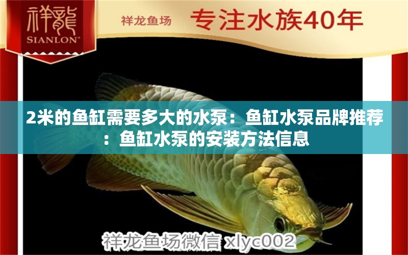 2米的魚缸需要多大的水泵：魚缸水泵品牌推薦：魚缸水泵的安裝方法信息