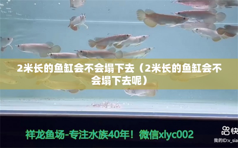 2米長的魚缸會不會塌下去（2米長的魚缸會不會塌下去呢）