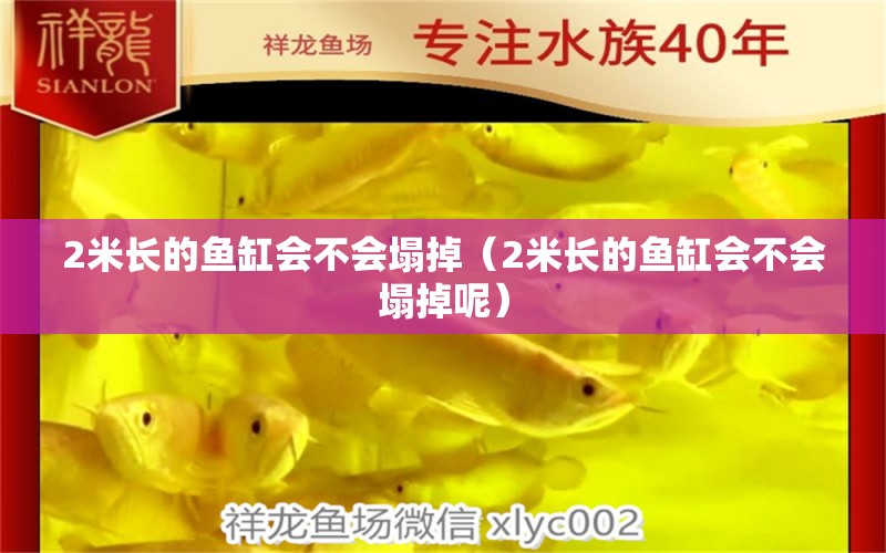 2米長的魚缸會不會塌掉（2米長的魚缸會不會塌掉呢）