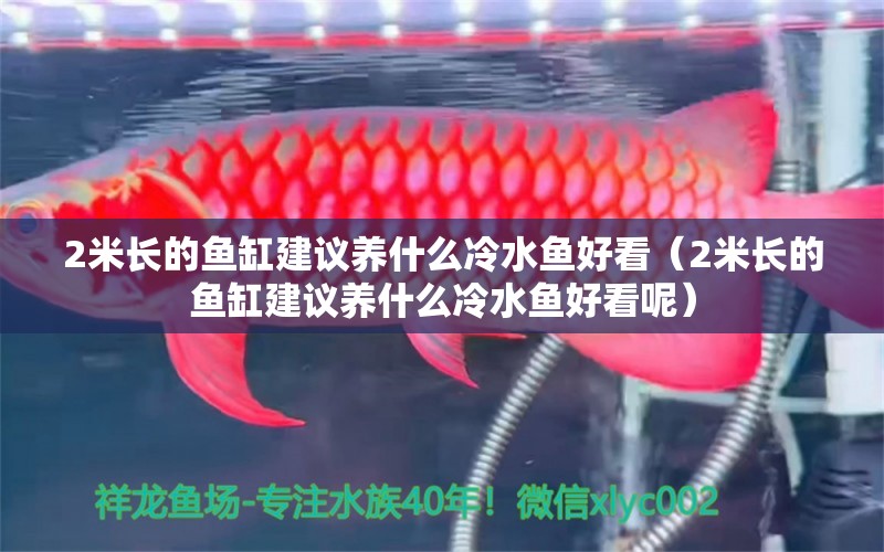 2米長的魚缸建議養(yǎng)什么冷水魚好看（2米長的魚缸建議養(yǎng)什么冷水魚好看呢）