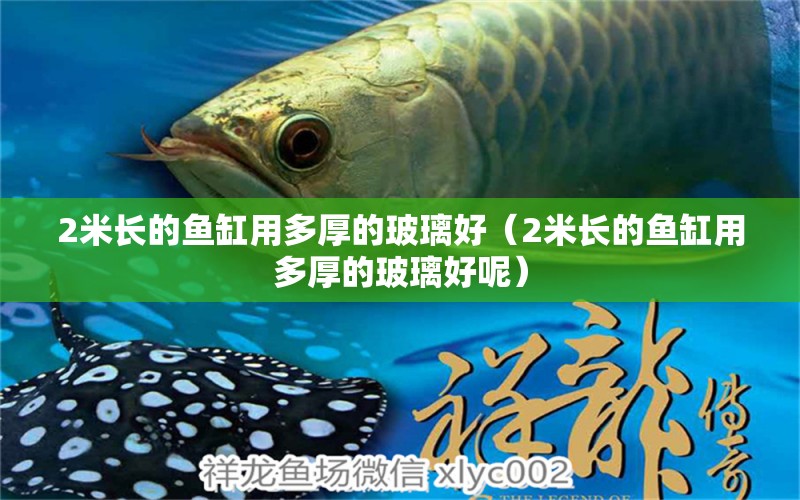 2米長的魚缸用多厚的玻璃好（2米長的魚缸用多厚的玻璃好呢）