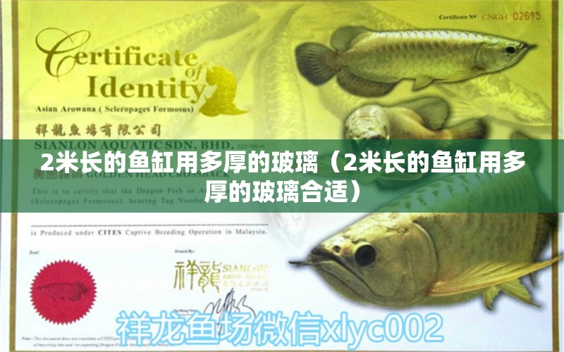 2米長的魚缸用多厚的玻璃（2米長的魚缸用多厚的玻璃合適）