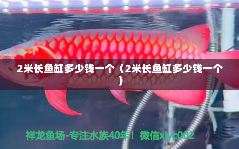 2米長魚缸多少錢一個（2米長魚缸多少錢一個） 其他品牌魚缸