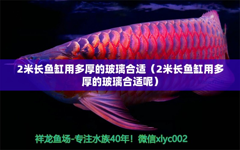 2米長(zhǎng)魚缸用多厚的玻璃合適（2米長(zhǎng)魚缸用多厚的玻璃合適呢）