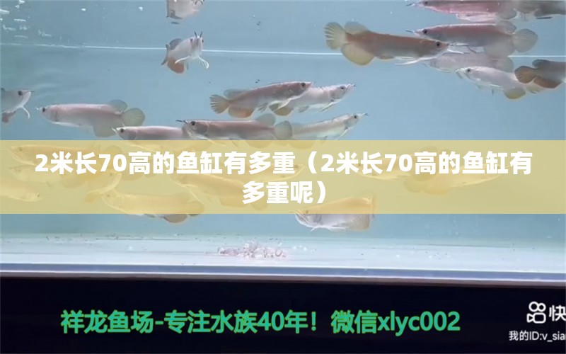 2米長(zhǎng)70高的魚缸有多重（2米長(zhǎng)70高的魚缸有多重呢）