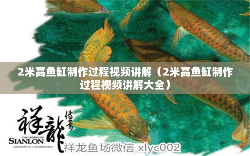 2米高魚缸制作過程視頻講解（2米高魚缸制作過程視頻講解大全） 其他品牌魚缸