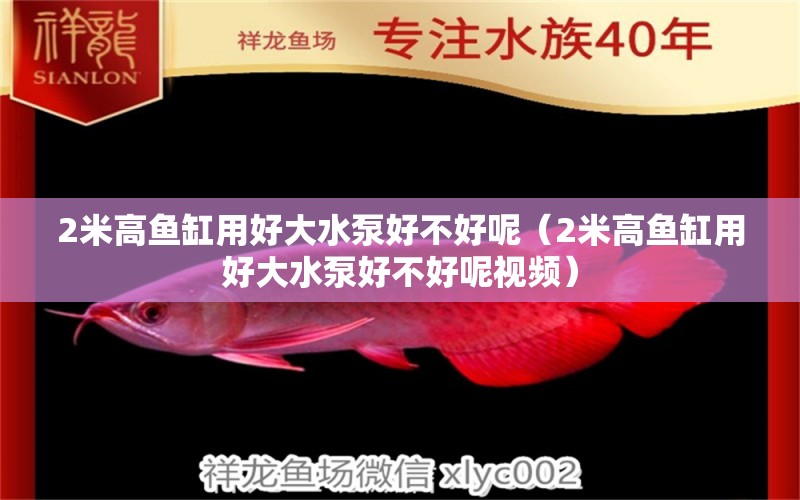 2米高魚(yú)缸用好大水泵好不好呢（2米高魚(yú)缸用好大水泵好不好呢視頻）