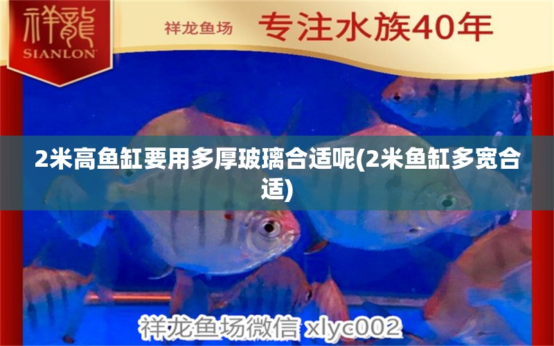 2米高魚缸要用多厚玻璃合適呢(2米魚缸多寬合適)