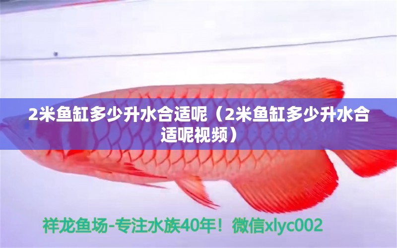 2米魚缸多少升水合適呢（2米魚缸多少升水合適呢視頻）