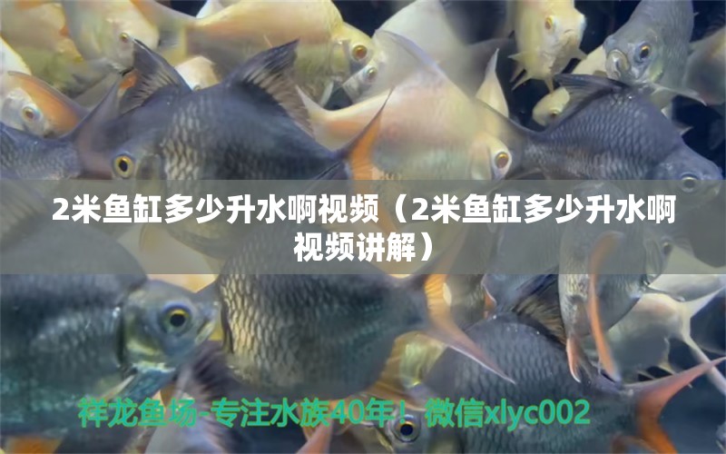 2米魚缸多少升水啊視頻（2米魚缸多少升水啊視頻講解）