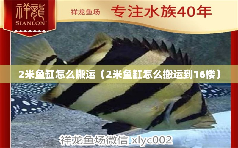 2米魚缸怎么搬運（2米魚缸怎么搬運到16樓）